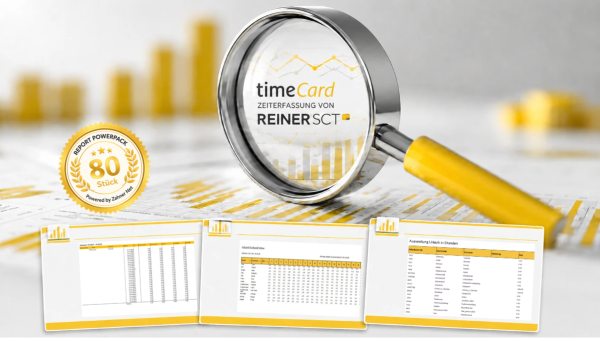 Report Power Pack Auswertungen